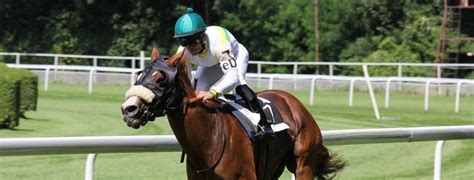 gokken paardenraces Online Casino van Nederland